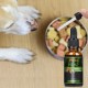 [Not Available in UK] Proto Broad Spectrum Hemp oil for Dogs, 30000mg, Great for Pain Relief , Anxiety, Calming, Pet Recovery and Sleep