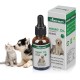 [Not Available in UK] Vitablossom Hemp oil for Dogs,Organic Hemp oil for Pets, Hemp oil for Pats - 500mg